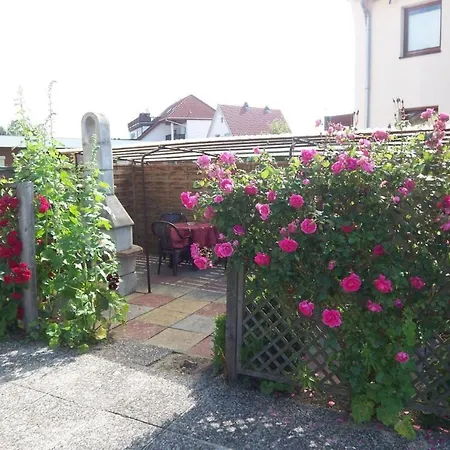 Lejlighed Haus-erholung-wohnung-3-eg